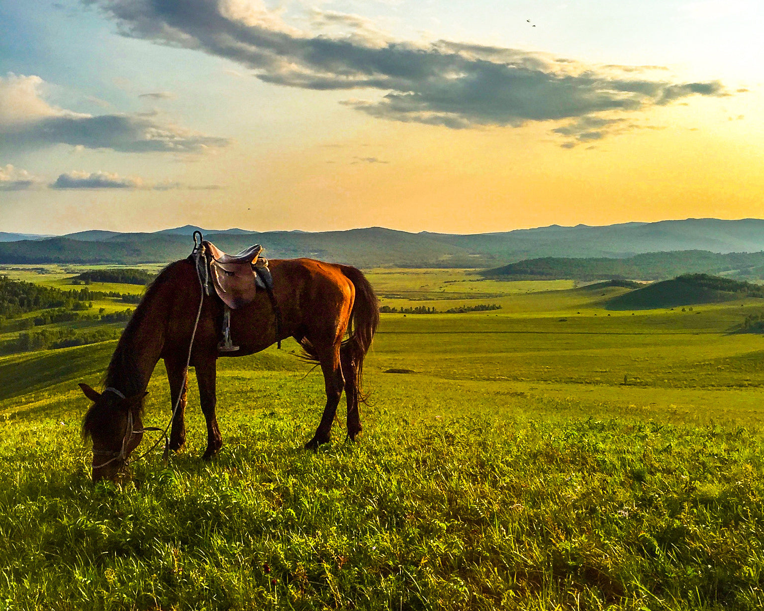 Traveling and Cycling Through Inner Mongolia