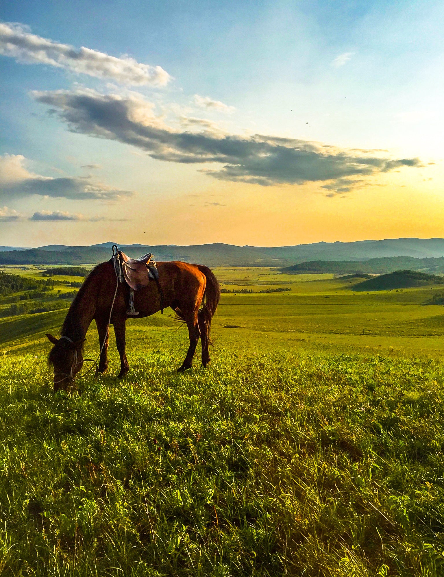 Traveling and Cycling Through Inner Mongolia