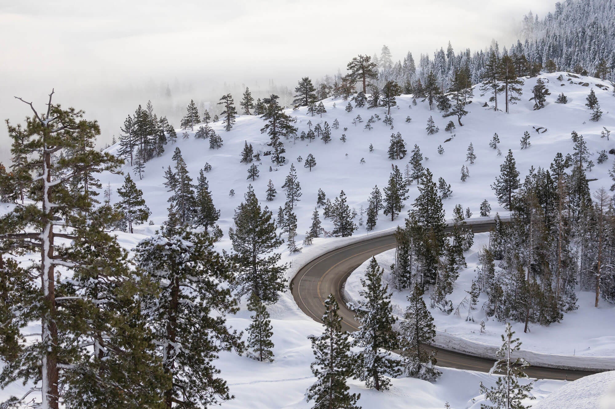 From Sunny San Diego to the Peaks of Reno: Orucase's Journey to Better Adventures