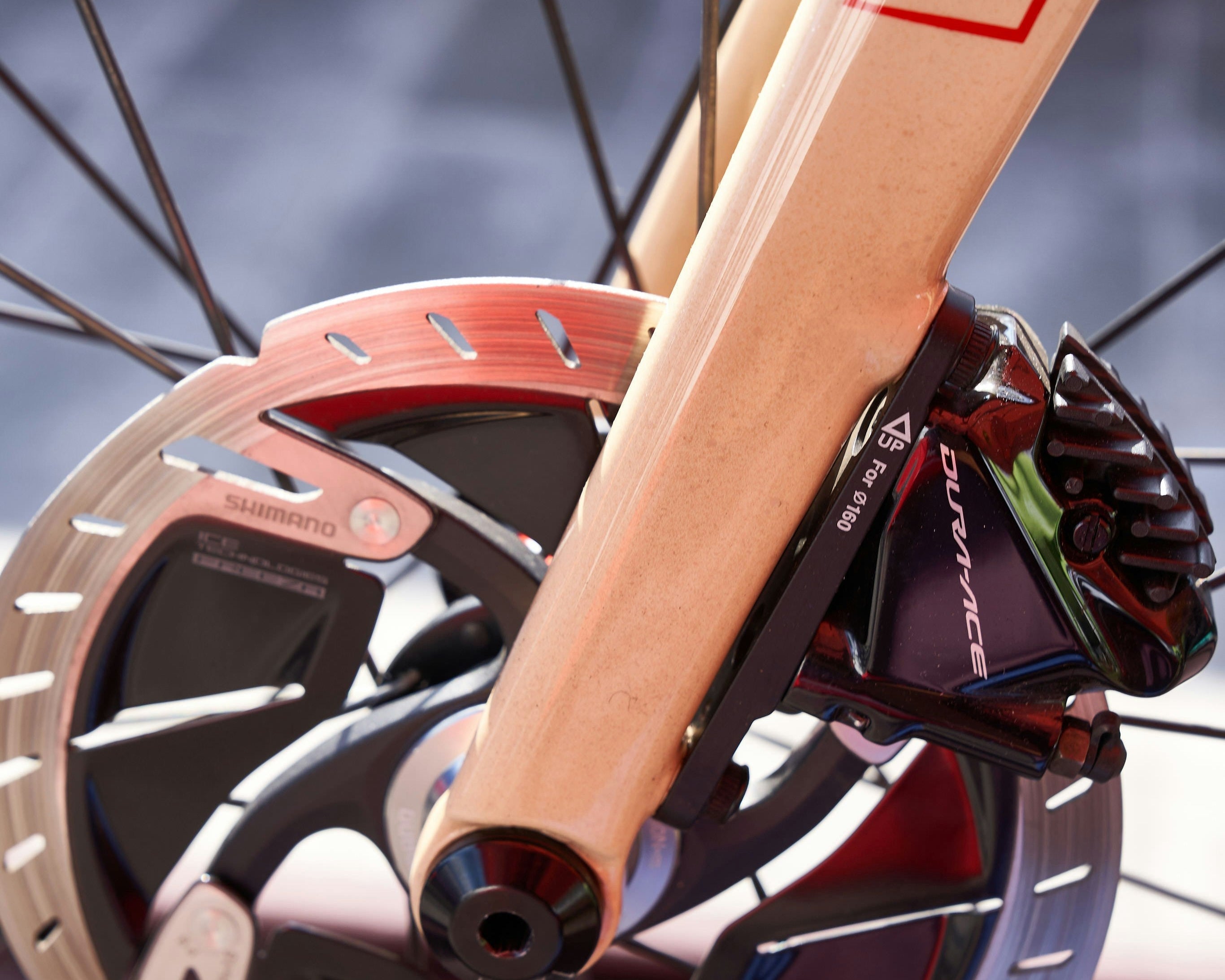How to Protect Disc Brakes and Rotors for Travel